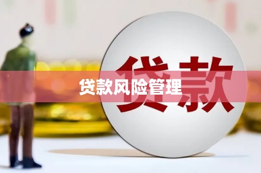 大邑贷款风险管理