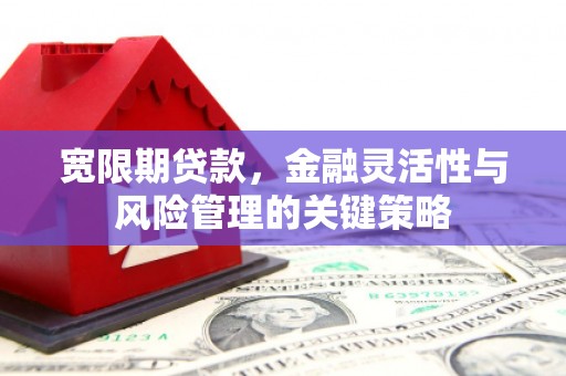 大邑宽限期贷款，金融灵活性与风险管理的关键策略