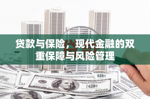 大邑贷款与保险，现代金融的双重保障与风险管理