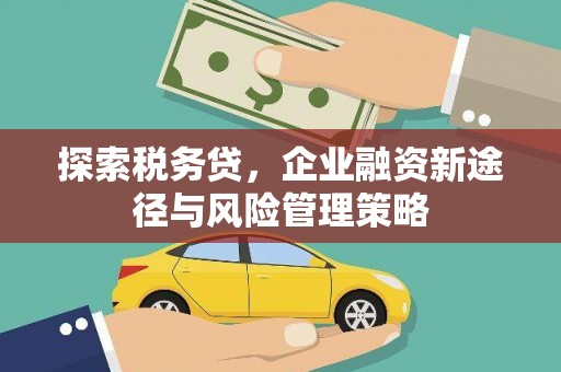 大邑探索税务贷，企业融资新途径与风险管理策略