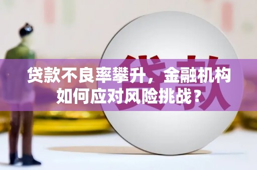 大邑贷款不良率攀升，金融机构如何应对风险挑战？