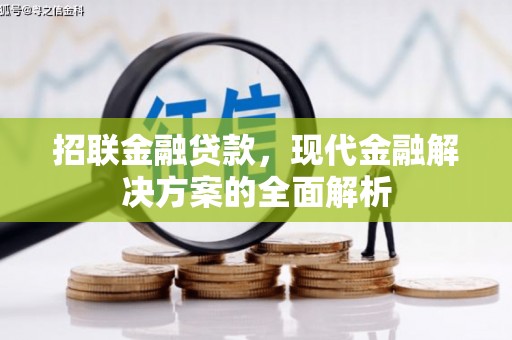 大邑招联金融贷款，现代金融解决方案的全面解析