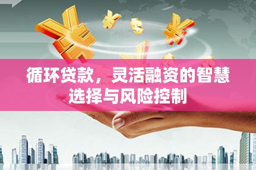 大邑循环贷款，灵活融资的智慧选择与风险控制