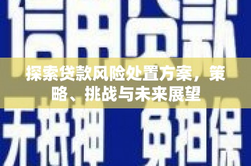 大邑探索贷款风险处置方案，策略、挑战与未来展望