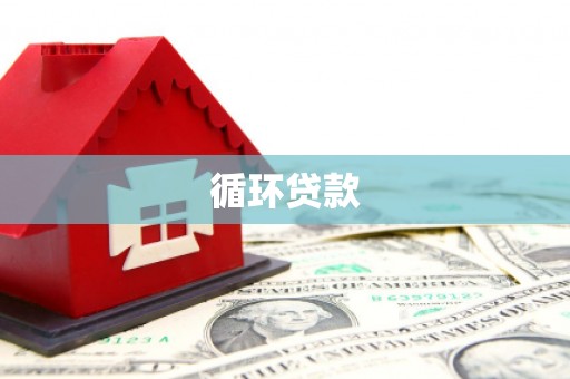 大邑循环贷款