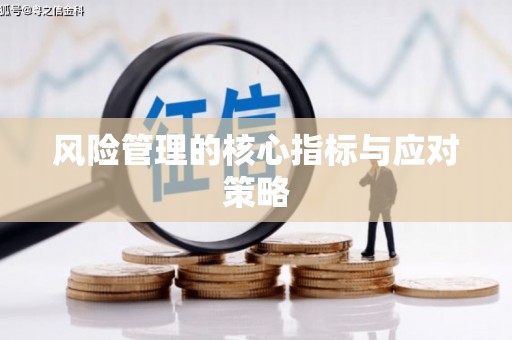 大邑风险管理的核心指标与应对策略