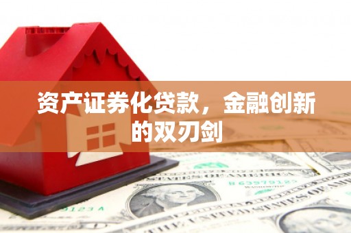 大邑资产证券化贷款，金融创新的双刃剑