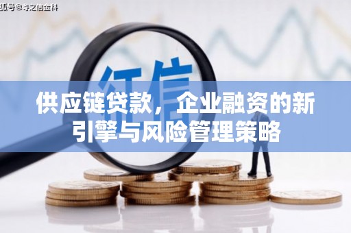 大邑供应链贷款，企业融资的新引擎与风险管理策略