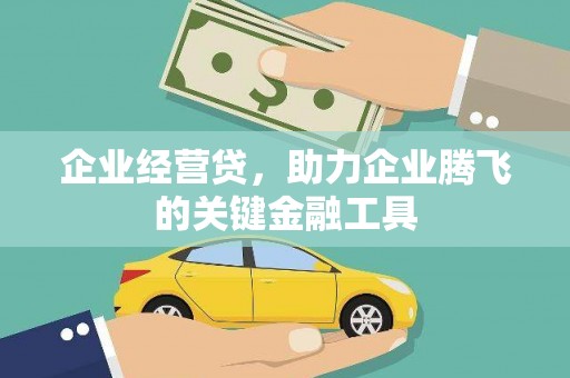大邑企业经营贷，助力企业腾飞的关键金融工具