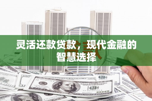大邑灵活还款贷款，现代金融的智慧选择