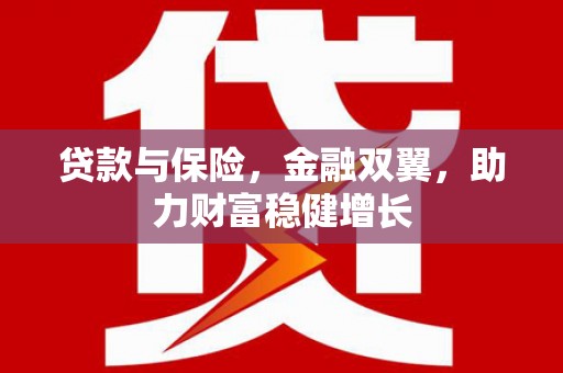 大邑贷款与保险，金融双翼，助力财富稳健增长