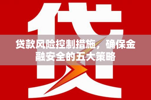 大邑贷款风险控制措施，确保金融安全的五大策略