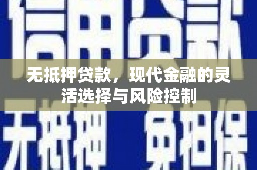 大邑无抵押贷款，现代金融的灵活选择与风险控制