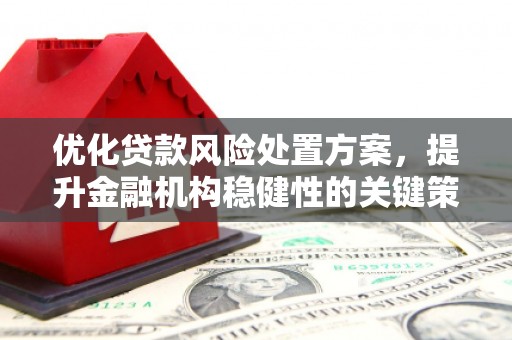 大邑优化贷款风险处置方案，提升金融机构稳健性的关键策略