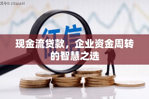 大邑现金流贷款，企业资金周转的智慧之选