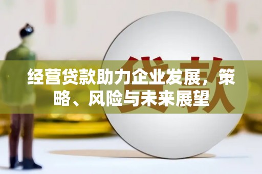 大邑经营贷款助力企业发展，策略、风险与未来展望