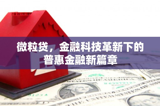 大邑微粒贷，金融科技革新下的普惠金融新篇章