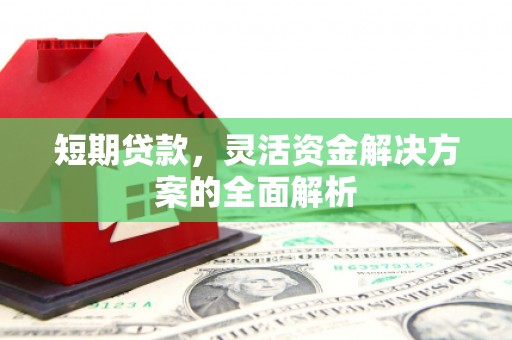 大邑短期贷款，灵活资金解决方案的全面解析