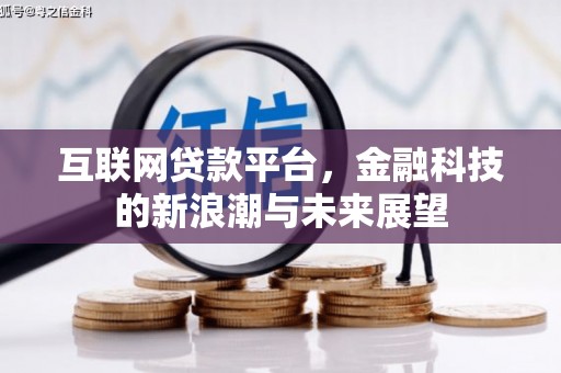 大邑互联网贷款平台，金融科技的新浪潮与未来展望