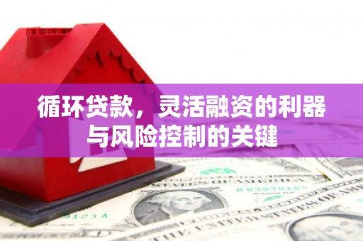 大邑循环贷款，灵活融资的利器与风险控制的关键