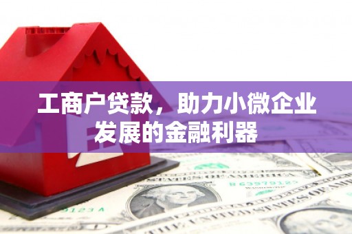 大邑工商户贷款，助力小微企业发展的金融利器