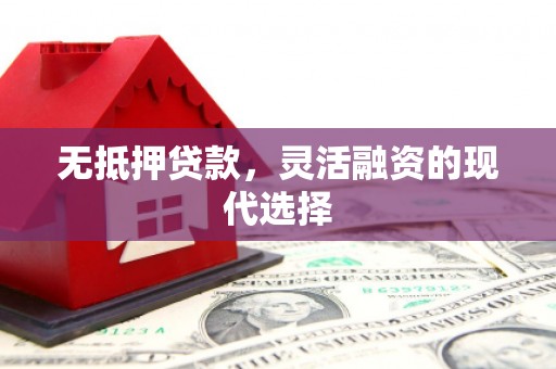 大邑无抵押贷款，灵活融资的现代选择