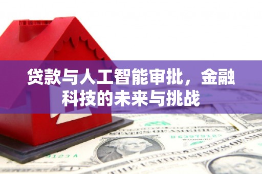 大邑贷款与人工智能审批，金融科技的未来与挑战