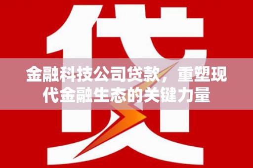 大邑金融科技公司贷款，重塑现代金融生态的关键力量