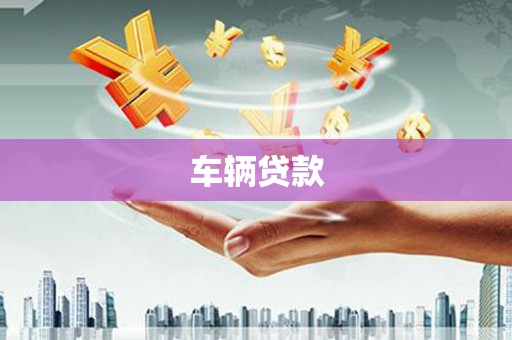 大邑车辆贷款