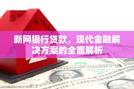 大邑新网银行贷款，现代金融解决方案的全面解析