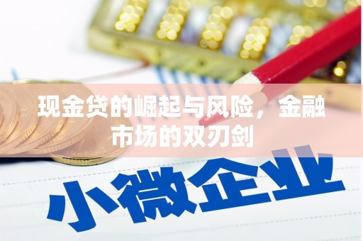 大邑现金贷的崛起与风险，金融市场的双刃剑