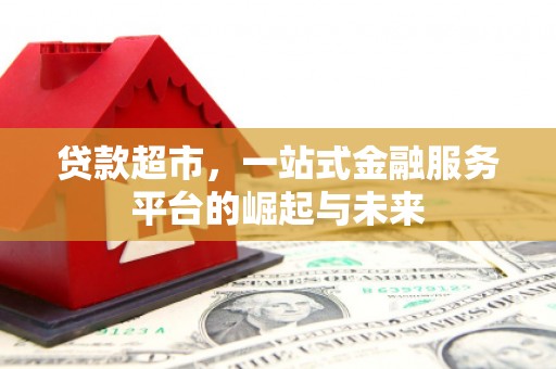 大邑贷款超市，一站式金融服务平台的崛起与未来