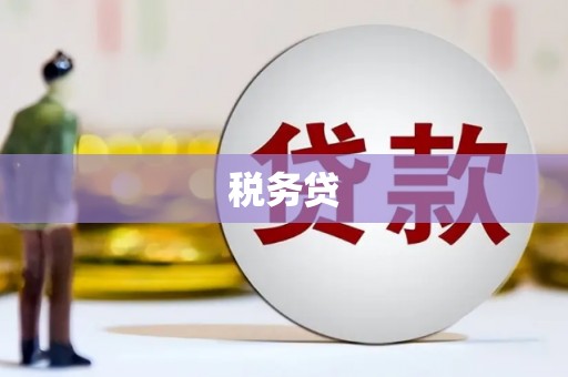 大邑税务贷