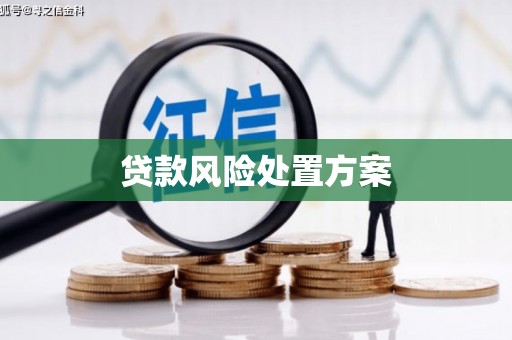 大邑贷款风险处置方案