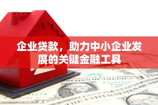 大邑企业贷款，助力中小企业发展的关键金融工具