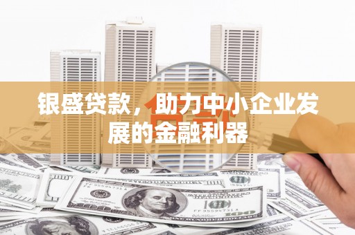 大邑银盛贷款，助力中小企业发展的金融利器