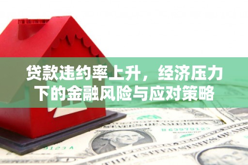 大邑贷款违约率上升，经济压力下的金融风险与应对策略