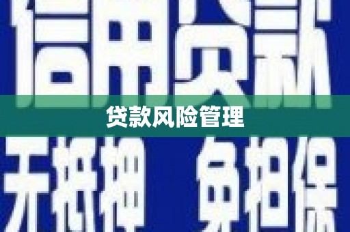 大邑贷款风险管理