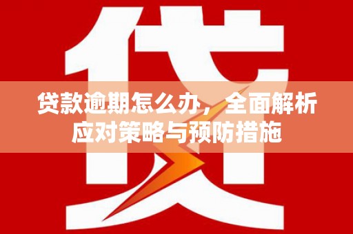 大邑贷款逾期怎么办，全面解析应对策略与预防措施