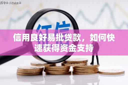 大邑信用良好易批贷款，如何快速获得资金支持