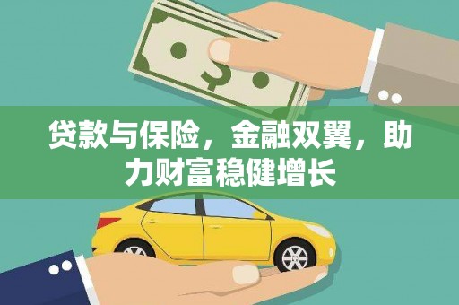 大邑贷款与保险，金融双翼，助力财富稳健增长