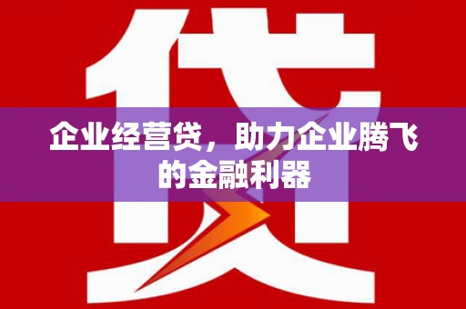 大邑企业经营贷，助力企业腾飞的金融利器