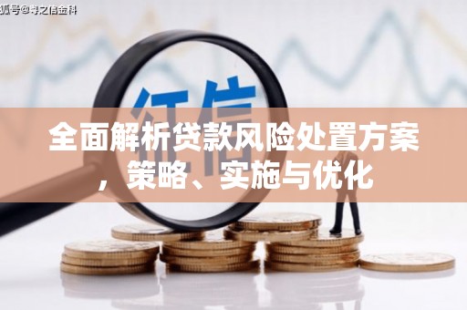 大邑全面解析贷款风险处置方案，策略、实施与优化