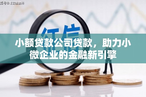 大邑小额贷款公司贷款，助力小微企业的金融新引擎
