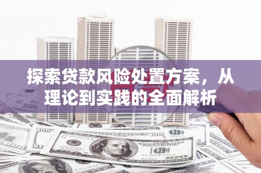 大邑探索贷款风险处置方案，从理论到实践的全面解析
