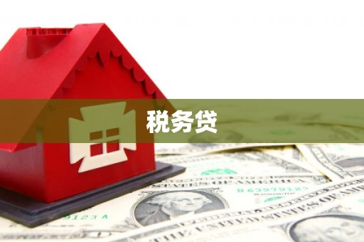 大邑税务贷