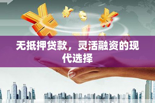 大邑无抵押贷款，灵活融资的现代选择