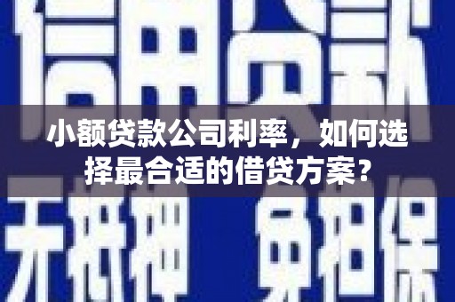 大邑小额贷款公司利率，如何选择最合适的借贷方案？