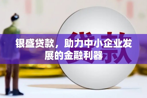 大邑银盛贷款，助力中小企业发展的金融利器