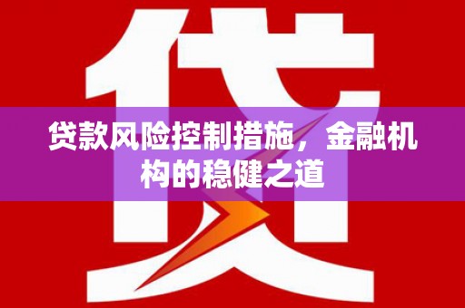 大邑贷款风险控制措施，金融机构的稳健之道